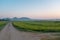 Green rice field on a plain landscape on a sun rise sky