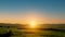 Green rice field with sunset sky background. Countryside landscape