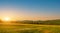 Green rice field with sunset skyac background. Countryside landscape