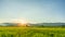 Green rice field with sunset skyac background. Countryside landscape