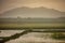 a green rice field, with two water ditches at the foot