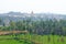 Green rice fields or terraces in the village of Hampi and the Temple of Virupaksha. Palm trees, sun, rice fields, large stones.