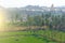 Green rice fields or terraces in the village of Hampi and the Temple of Virupaksha. Palm trees, sun, rice fields, large stones.