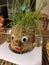 Green rice grass planted on a cheerful animal ornament