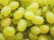 Green ripe grapes Raisins close-up