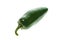 Green ripe jalapeno chili hot pepper