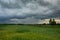 Green ripening field, horizon and rainy gray sky