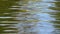 Green ripples running on water surface
