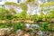 Green River Banks With Trees Full of Garbage and Junk in Poor Neighbourhood El Cafe