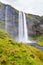 green riverbank and Seljalandsfoss waterfall