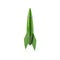 Green rocket icon