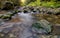 Green Rocks in Flowing Creek