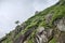 Green rocky slope in mountains