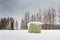 Green Roll Bale Covered With Snow