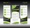 Green Roll Up Banner template vector illustration