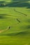 Green rolling hills of farmland wheat fields seen from the Palouse