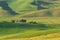 Green rolling hills of farmland wheat fields seen from the Palouse