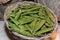 Green Romano Beans for Sale in Market