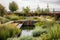 green roof with garden and water feature, creating peaceful oasis