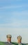 Green roof with metal turbine ventilator against cloudy pale blue sky