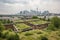 green rooftops with view of the city skyline, showing how green buildings can blend into urban surroundings