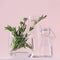 Green rosemary twigs in glass vase and vintage bottles as home decor on soft pink pastel background, square.