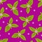 green rosette of leaves on pink background