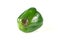 Green rotten pepper isolated on white