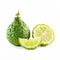 Green rough peel bergamot fruit or kaffir lime isolated on white