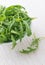 Green rucola fresh salad