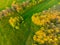 Green rural landscape from above