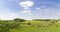 Green rural summer panoramic landscape