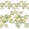 Green Ruscus. Greenery collection. Seamless border. Watercolor hand-drawn illustration