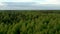 Green russian forest under cloudy sky shot from drone flying high