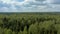 Green russian forest under cloudy sky shot from drone flying high