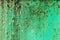 Green rusted metal with mold growth, texture - Hollywood, Florida, USA