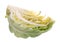 Green salad cabbage