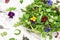Green salad garden herbs pansy flowers Food background