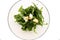 Green salad in a glass plate of onions, spinach, sorrel, wild garlic and herbs