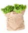 Green salad in shopping paper bag