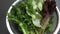 Green salad vegetables