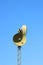 Green satellite communication dishes on a mast