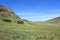 Green Savana with blue sky