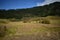 Green Savana in the pangonan mountain dieng