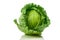 Green Savoy cabbage