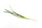 Green scallions isolated on a white background