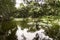 Green Sceneries of The Botanical Garden of Medellin in Antioquia, Col.