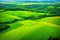 Green scenery and landscape from aerial view of paddy fields made with Generative AI
