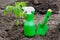 Green scoop, spray bottle and tomato sproud on the ground