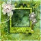 Green scrapbook photo album